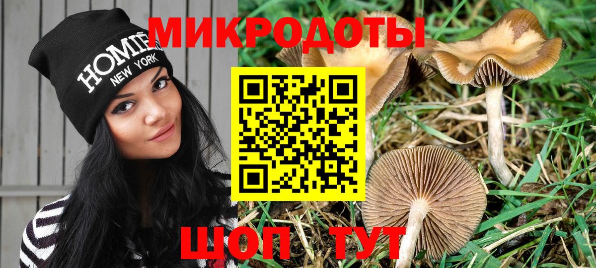 Галлюциногенные грибы MAGIC MUSHROOMS Топки